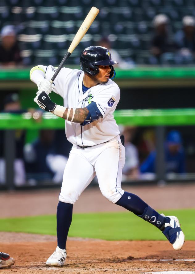 Columbia Fireflies' Ivan Sosa at bat