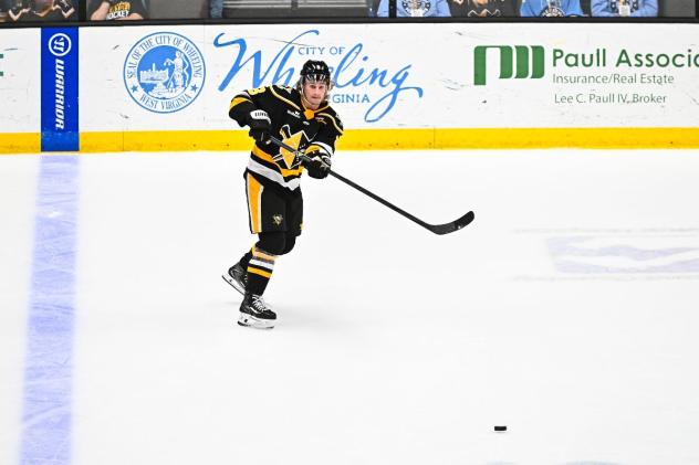 Wheeling Nailers defenseman Aidan Sutter