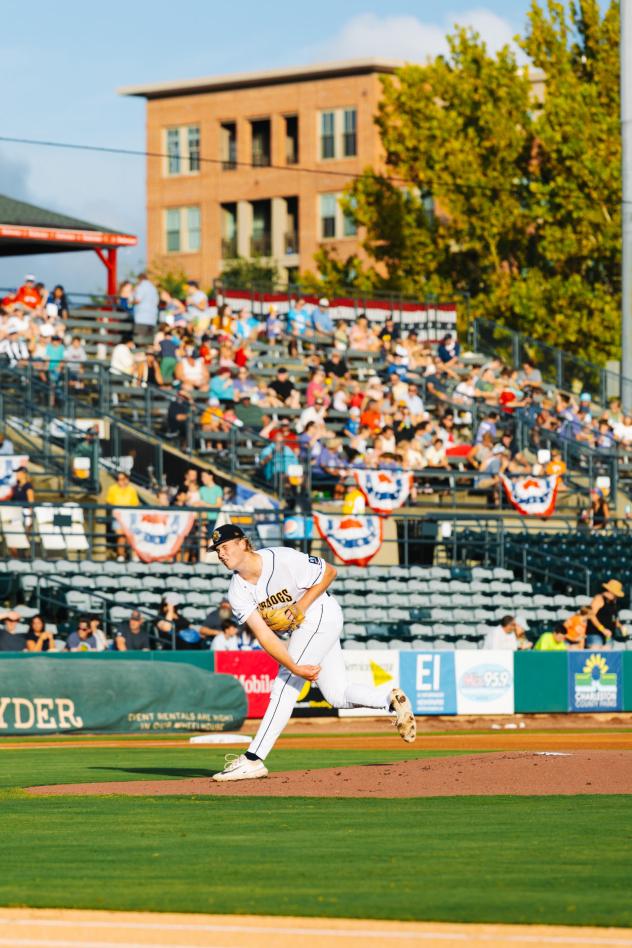 Charleston RiverDogs deliver a pitch