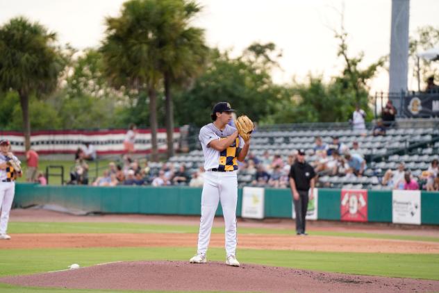 Charleston RiverDogs pitcher Luke Jackson