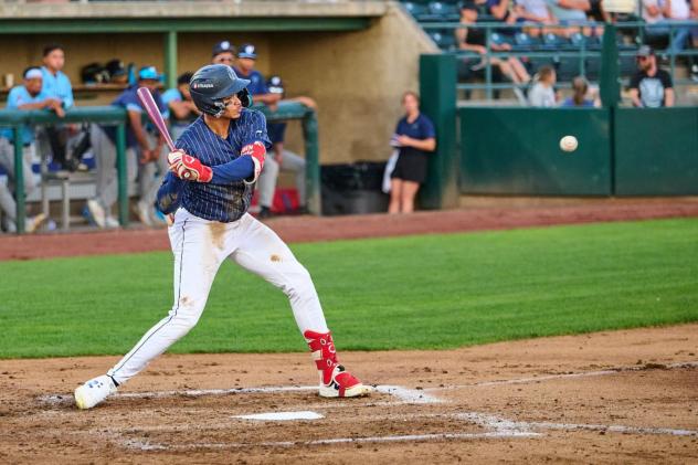 Tri-City Dust Devils eye an incoming pitch