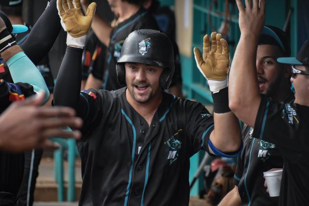 Mississippi Mud Monsters exchange high fives in the dugout