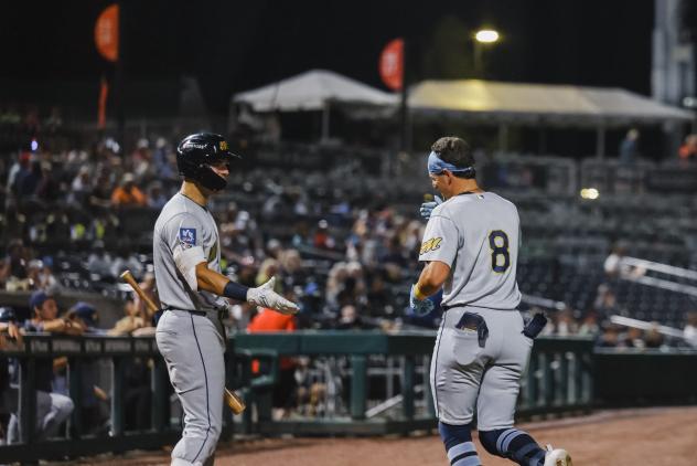 Montgomery Biscuits on game night