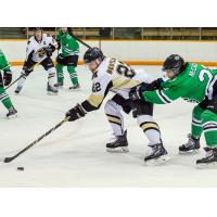 Darren Bestland Joins Thunder