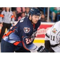 Americans Defenseman Mike DiPaolo