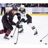 Monsters Held off by Stars, 6-4