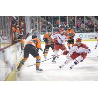 Allen Americans in Action