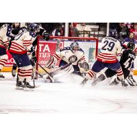 Tri-City Americans vs. Vancouver Giants