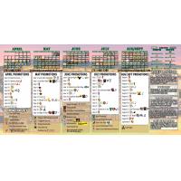 Generals 2015 Promotional Schedule