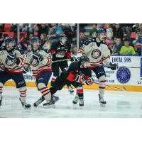 Tri-City Americans vs. Prince George Cougars