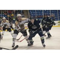 Bloomington Thunder vs. Muskegon Lumberjacks
