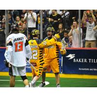Minnesota Swarm Celebrate Goal against New England