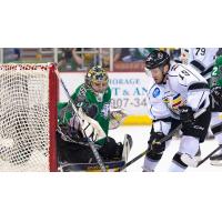 Colorado Eagles Take a Shot against the Alaska Aces