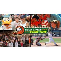 2015 Long Island Ducks Promotional Schedule