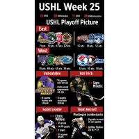 USHL Playoff Picture