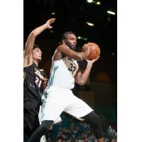 Jordan Hamilton of the Reno Bighorns