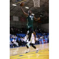 Jordan Hamilton of the Reno Bighorns