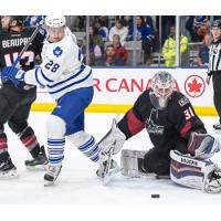 Lake Erie Monsters vs. Toronto Marlies