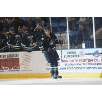 Bloomington Thunder