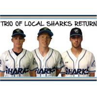Wilmington Sharks Sam Foy, Steven Linkous and Hunter Smith