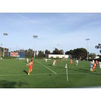 Orange County Blues FC vs. Loyola Marymount