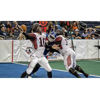 Cleveland Gladiators vs. Tampa Bay Storm