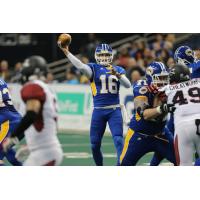 Tampa Bay Storm Quarterback Jason Boltus vs. Cleveland Gladiators