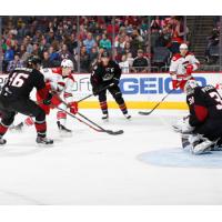 Lake Erie Monsters vs. Charlotte Checkers