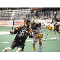 New England Black Wolves vs. Minnesota Swarm
