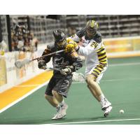 New England Black Wolves vs. Minnesota Swarm