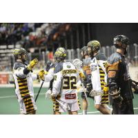 Minnesota Swarm vs. New England Black Wolves