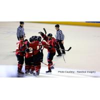 Colorado Eagles Celebrate