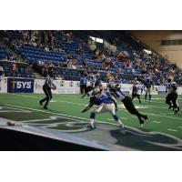 Columbus Lions vs. Richmond Raiders