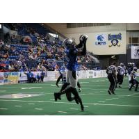 Columbus Lions vs. Richmond Raiders