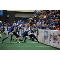 Columbus Lions vs. Richmond Raiders