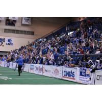 Columbus Lions vs. Richmond Raiders