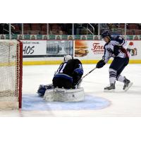 Tulsa Oilers vs. Wichita Thunder
