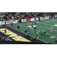 St. Louis Attack vs. Corpus Christi Fury