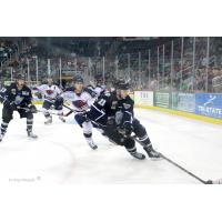 Evansville IceMen vs. South Carolina Stingrays