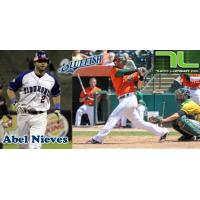 Abel Nieves Joins Bridgeport Bluefish