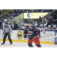 Springfield Falcons Center William Karlsson
