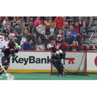 Colorado Mammoth Goaltender Alex Buque