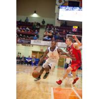 Westchester Knicks vs. Grand Rapids Drive