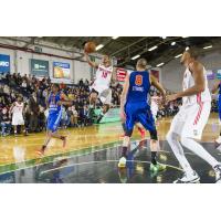 Tim Frazier of the Maine Red Claws