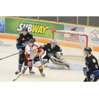 Saint John Sea Dogs vs. Baie-Comeau Drakkar