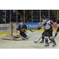 Calgary Hitmen vs. Kootenay Ice