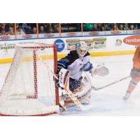 Wichita Thunder Goaltender Tyler Bunz