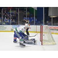Utica Comets vs. Rochester Americans