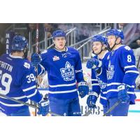 Toronto Marlies vs. Chicago Wolves