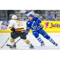 Toronto Marlies vs. Chicago Wolves
